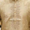 mens-beige-silk-embroidered-kurta (2)
